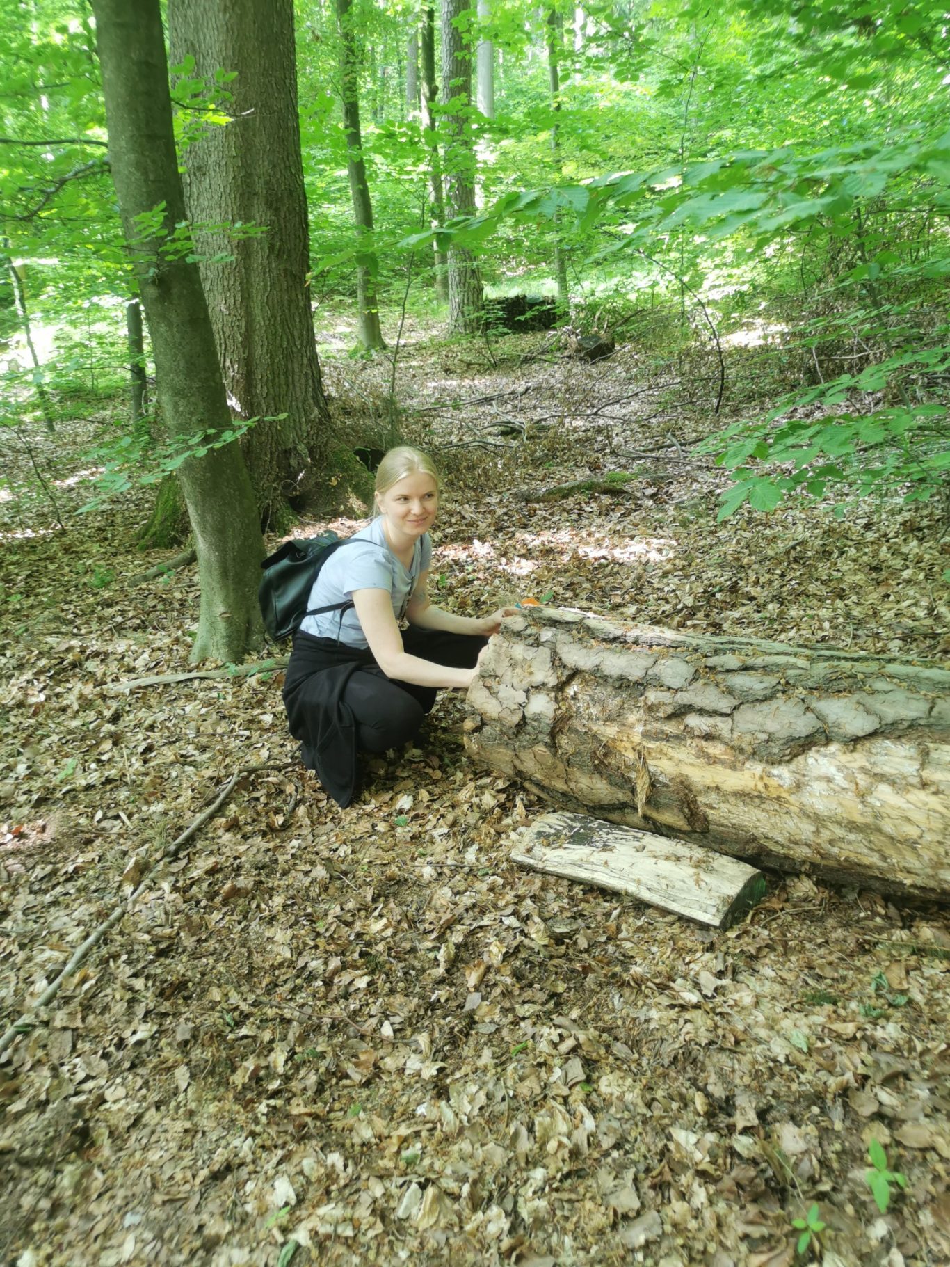 Lernen kann auch Spaß machen wood wide web