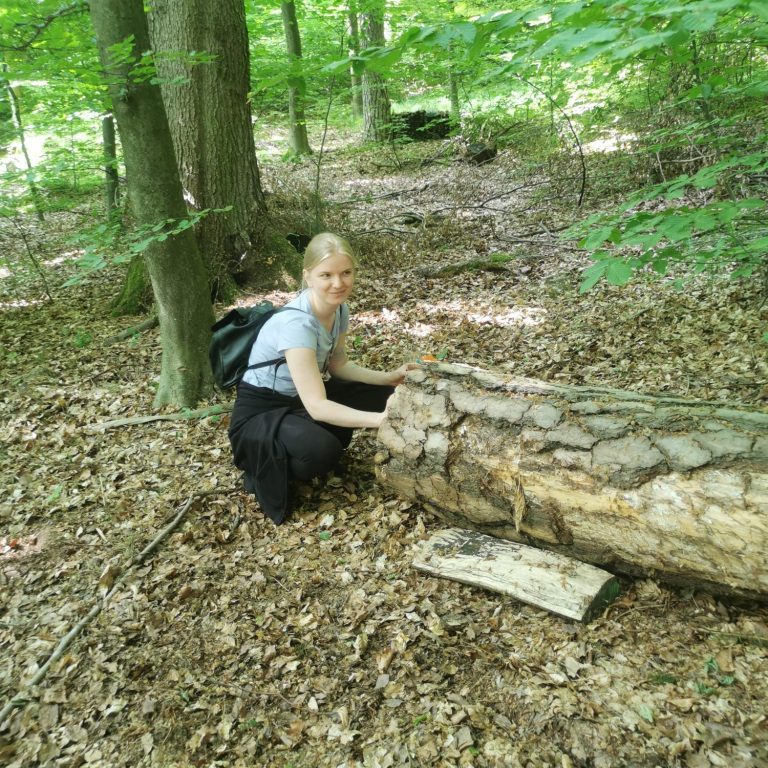 Bäume mit allen Sinnen erfahren