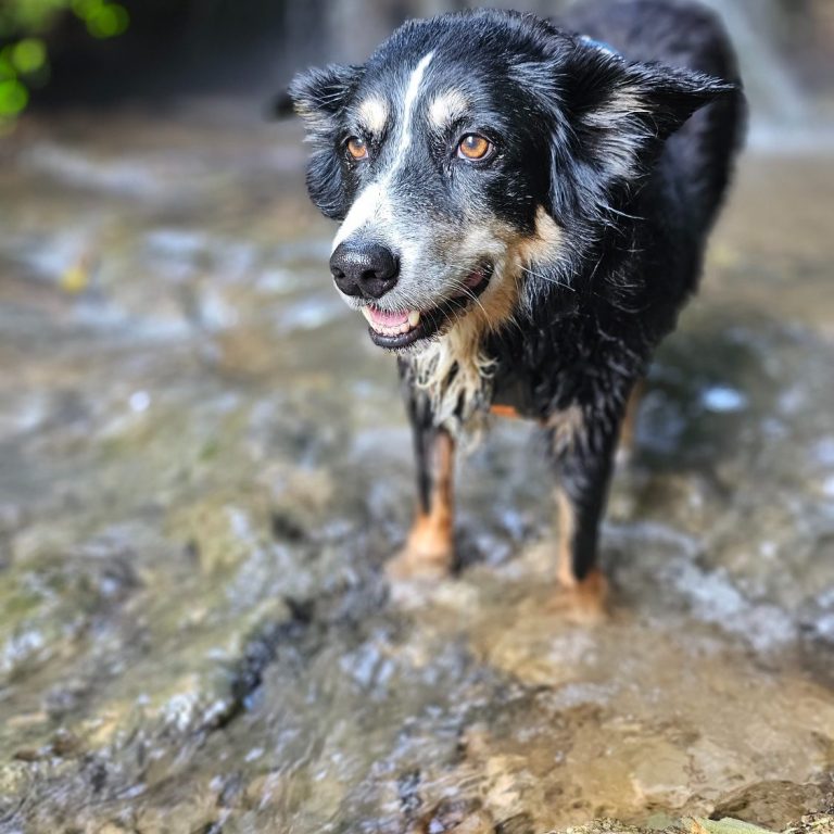 Bordermix und Trailpartner 