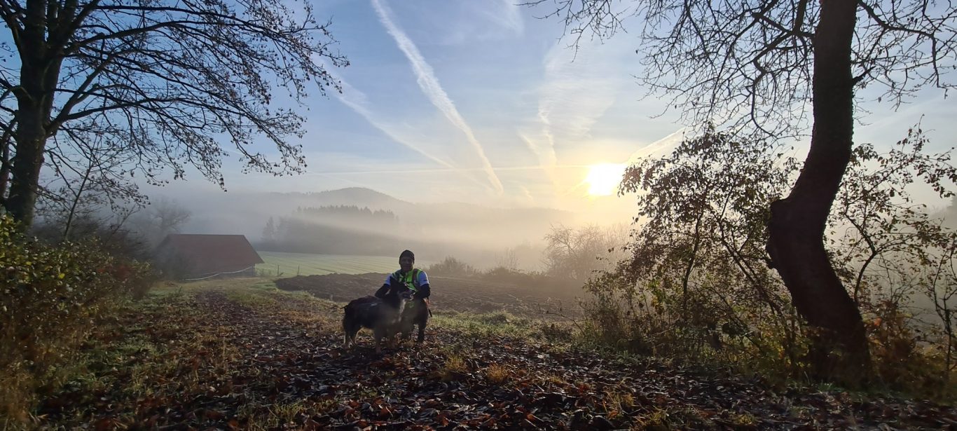 Herbstzauber Frühes Aufstehen lohnt sich