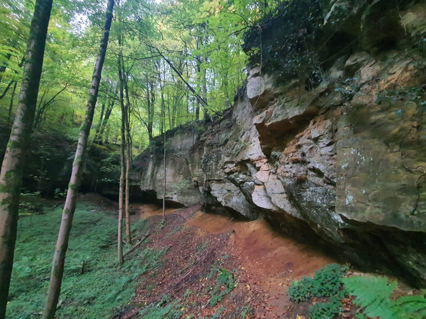 Felsformation Felsen mitten im Wald
